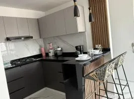 apartamento amoblado en la foscal