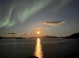 Cabin in scenic surroundings in Senja