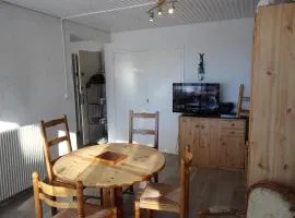 Bel appartement 2 pièces au pied des pistes à Chamrousse - FR-1-549-84