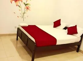 New Boganvilla