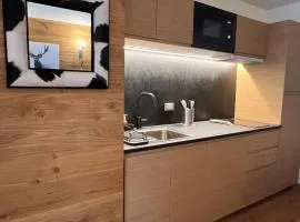 Étoile des Alpes Studio