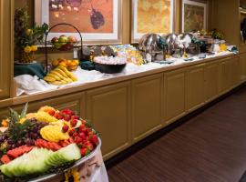 Holiday Inn Dublin - Pleasanton by IHG, hotel in Dublin