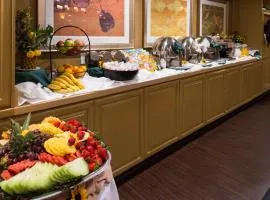 Holiday Inn Dublin - Pleasanton by IHG