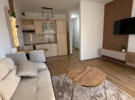 Dream Casa