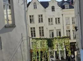 Royal sleeping Brussels