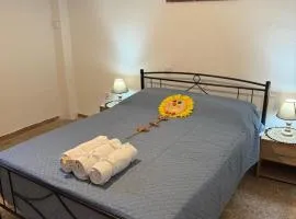 Beautiful and Remodeled Apartment 1A