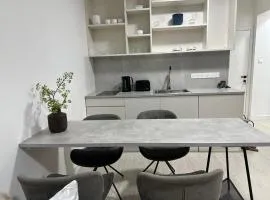 Modern City Apartment