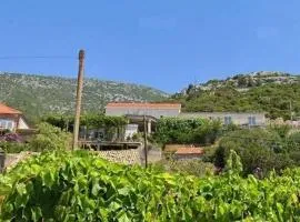 Apartments with WiFi Postup, Peljesac - 23780