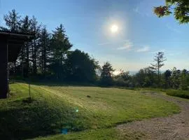 15531-Asnaes-Ellebakken-15