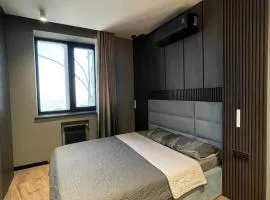 Modern apartment