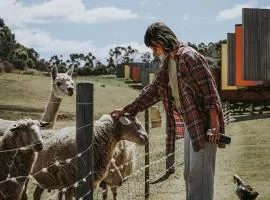 Iron Creek Bay Estate