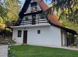 Vila Eden Rudnik