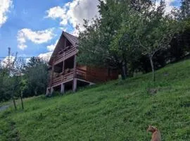 Cabana Ulmului