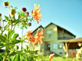 Pensiunea Doli, homestay in Sighetu Marmaţiei