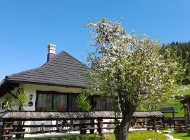 Casa tradițională bucovineana