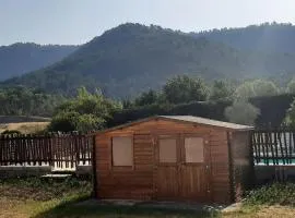 Les Eucalyptus