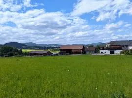 Pferdeparadies Stein