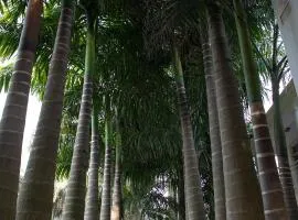 Lush Air Bnbs in Karen