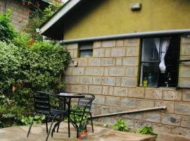 Hidden Gem 32 acre road