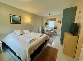 Aurora Cozy Studio