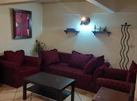 Charming Flat in maadi