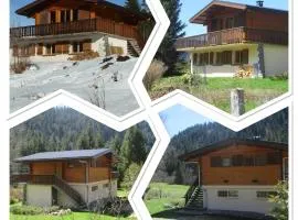 Le chalet des Skieurs Vosges