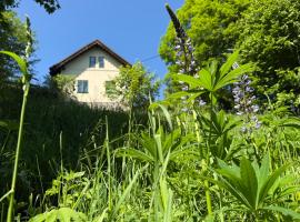 Stříbrná chaloupka Na Vyhlídce、Stříbrniceのホテル