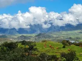 La Maison Couleur Volcan