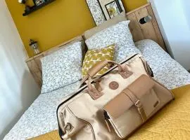 Le Jean Bart - Lille Votre T1 meublé cosy & lumineux Quartier République