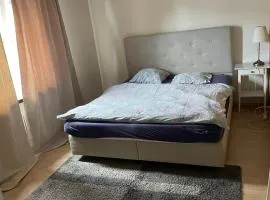 Good Night at Liestal