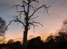 Acorns and Quackers Self Catering