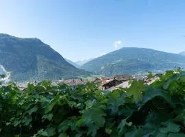 BnB Feuille de Vigne