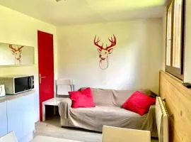 Bright apartment 300 meters from the slopes