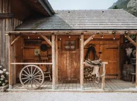 Chalet SALOON avec SPA privatif