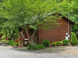 My Cup Overflows Cabin