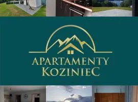 domki Koziniec na wyłączność Myczkowce Solina Bieszczady 5