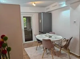 Apartament Criss