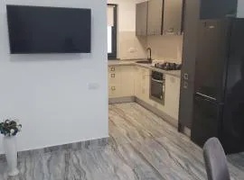 Central Luxury Apartament