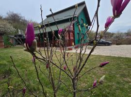 Casa delta verde, villa in Mahmudia