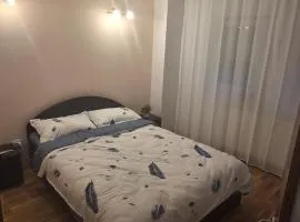 Casa Vasy