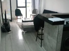 Appartement s1