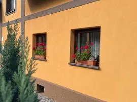 Ubytování za babku s infrasaunou