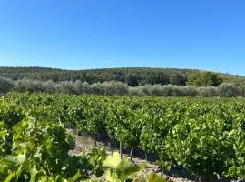 Maison Sud entre mer et vignes