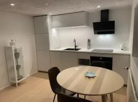 Small cozy rental unit in Strendur Centre