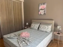 Bovis Apartments #3