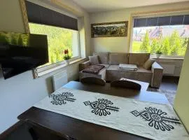 Piękne apartamenty z widokiem na góry ,Sauna, kominek, darmowy parking , 5km do Zakopanego