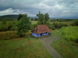 Old Wooden Houses in Oaș Land - Căsuțele din Toag، كوخ في نيغريشتي-أواش