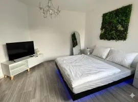 ClTY FLAT SAARLOUlS