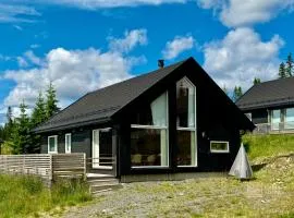 Cozy cabin on Sjusjølia by the trail network sauna