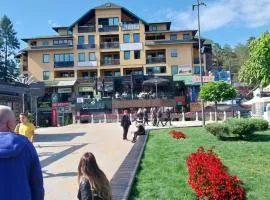 Apartman Centar Vila Jezero